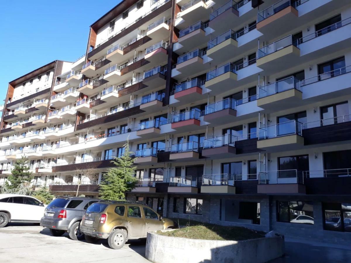 Ripsime Colina Marei Apartment Sinaia Exterior photo