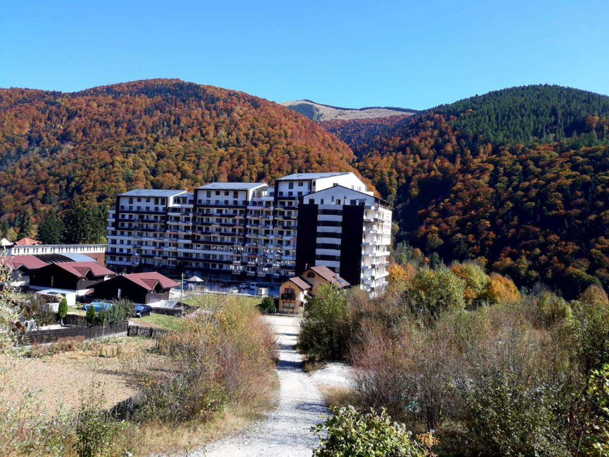 Ripsime Colina Marei Apartment Sinaia Exterior photo